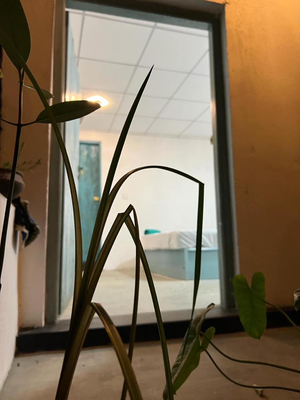 Cactus Arugambay Vandrarhem Arugam Bay Exteriör bild